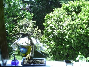 Notre maison 22.04.2007