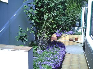 Notre maison 22.04.2007 015