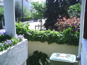 Notre maison 22.04.2007 017