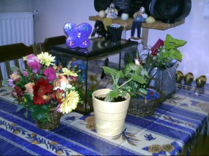 Beautiful creations...