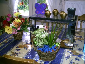 Next Sunday is Mothersday... ;-)