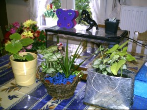 Village Nature et jardin 27 mai 2007