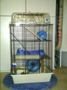 Alcatraz's Penthouse