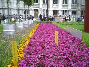 Jardin demains mai 2007 004