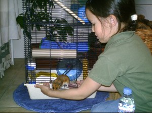 On veut toujours sortir !!!