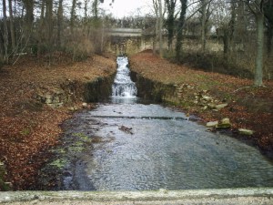 Le 6 janvier 2008 (26)