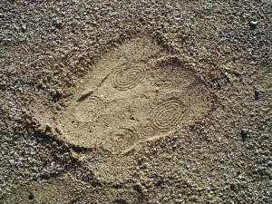 Le 6 janvier 2008 (9)