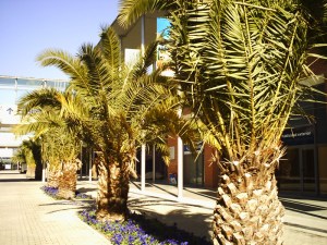 FITUR 2008 Madrid (8)