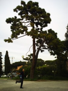 Termes Caracalla (4)