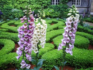 Nuit des musées 2008 (13)