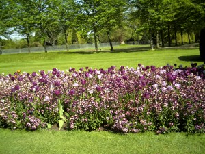 Northampton-2008-(4)