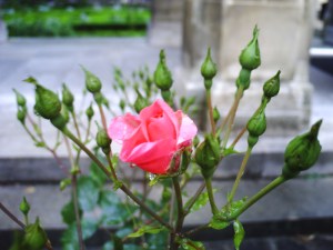 Nuit des musées 2008 (9)