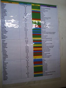 Tout sur les poneys!