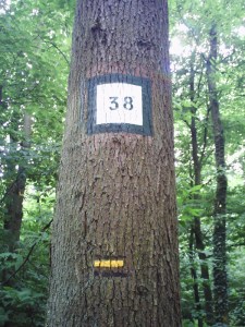 Encore un chiffre porte-bonheur!