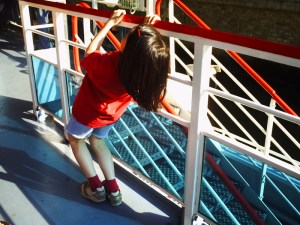 Sur-les-Bateaux-Mouches-le-14-juillet-2008-(14)
