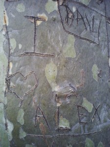 Invalides et Champs de Mars (3)