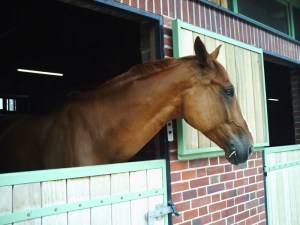 25 juillet 2008 5ème jour du stage (14)