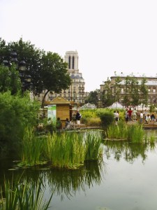 Jardin éphémère (3)