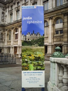 Jardin éphémère (4)