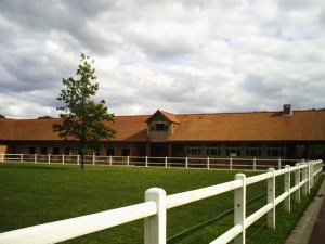 Haras de Jardy (19)