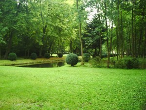 Chantilly-le-24--août-2008-(18)