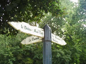 Chantilly-le-24--août-2008-(21)