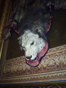 Chantilly-le-24--août-2008-(31)