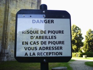 Abbaye-Royaumont-(10)