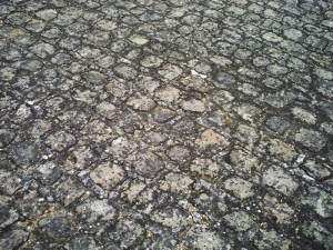 Chantilly-le-24--août-2008-(27)