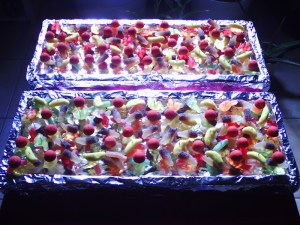 Brochettes-de-cocktail-très-spéciales!