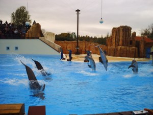 26-octobre-2008-(21)