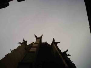 2 novembre 2008 (14)