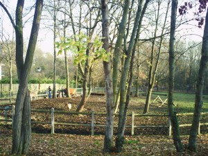 Anniversaire-de-Mama-(6)