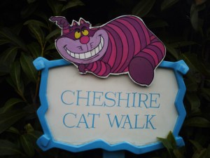 Disneyland-and-Studios-28-Janvier-2009-(18)