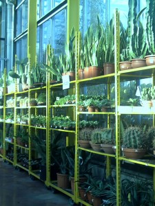 Rungis-30-janvier-2009 (3)