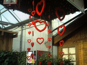 Rungis-30-janvier-2009 (5)