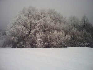 DSA-Ski-de-fond-et-raquettes-(10)