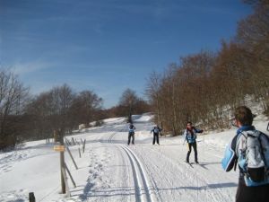 DSA Ski aux Plans d'Otonnes (10)