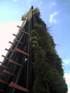 Au-Quai-Branly-le-1-Février-2009-(3)