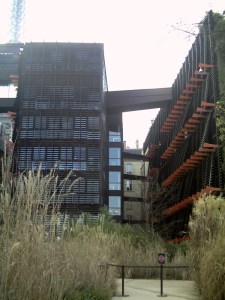 Au-Quai-Branly-le-1-Février-2009-(4)