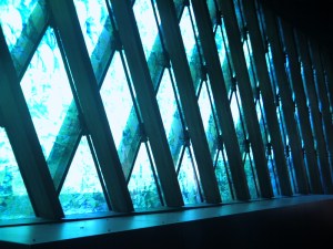 Au-Quai-Branly-le-1-Février-2009-(17)
