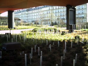 Au-Quai-Branly-le-1-Février-2009-(5)