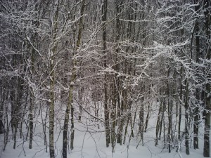 DSA-Ski-de-fond-et-raquettes-(4)