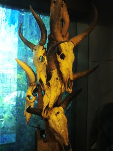 Au-Quai-Branly-le-1-Février-2009-(31)