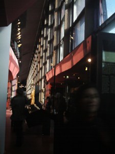 Au-Quai-Branly-le-1-Février-2009-(20)
