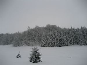 DSA Ski aux Plans d'Otonnes (13)