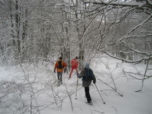 DSA Ski aux Plans d'Otonnes (14)