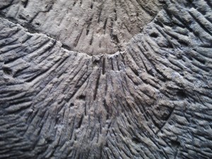 Can you imagine, everything was handmade !