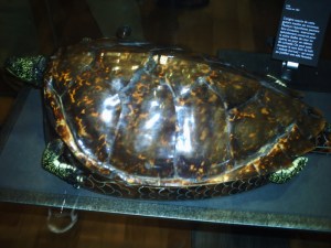 Cité-des-Sciences-(13)