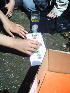 Jardin-des-Plantes-(27)